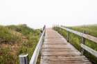 USA-Minnesota-Duluth-Park Point-Boardwalk over Dunes Art Print